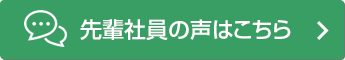 先輩社員の声